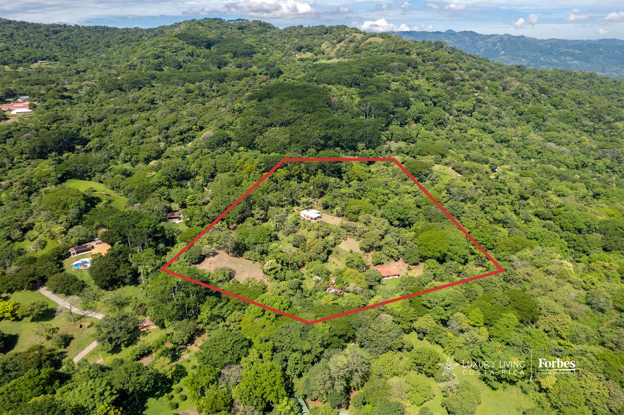21478 - Agricultural property, 3.7 hectare with small house and caretaker's house