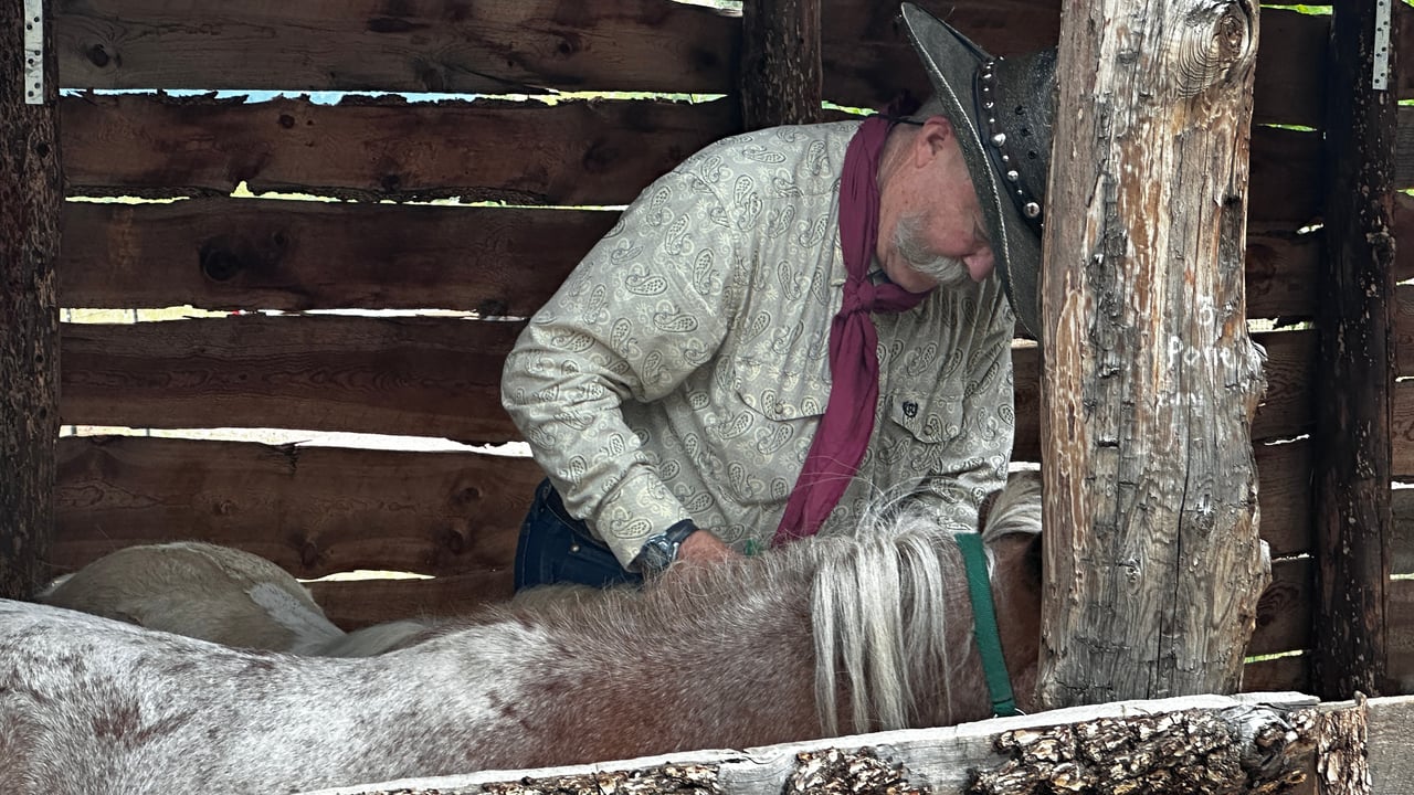 Western Spirit Meets Modern Dreams: Monica Breckenridge Explores Flying W Ranch on American Dream TV