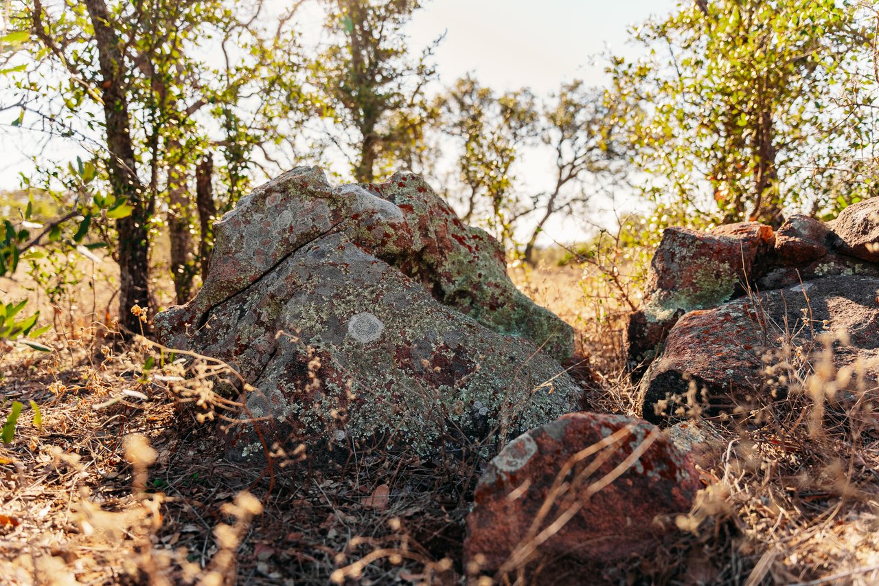 510 Carls Pass Llano County 378 Acres