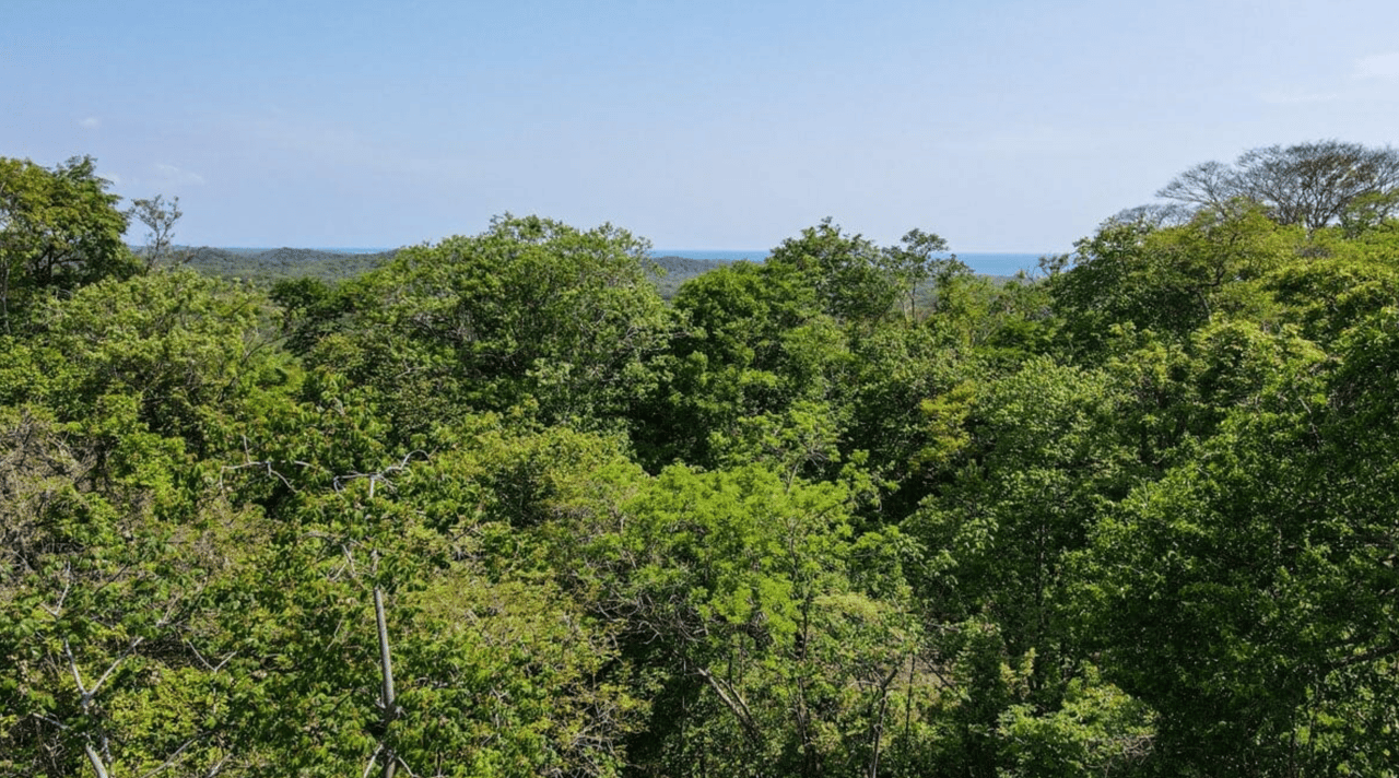 Casa Tree Top Retreat- Senderos - Tamarindo