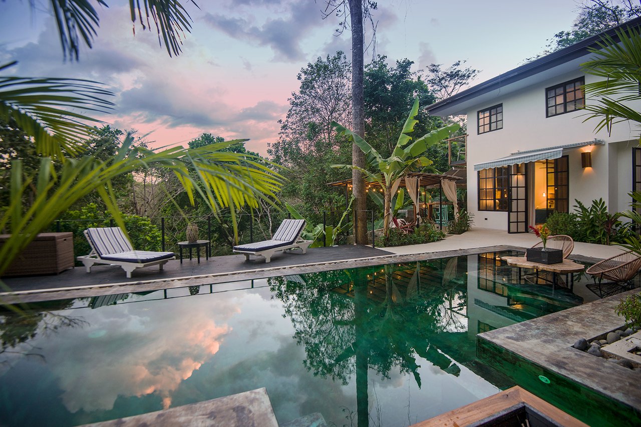The Jungle Residence