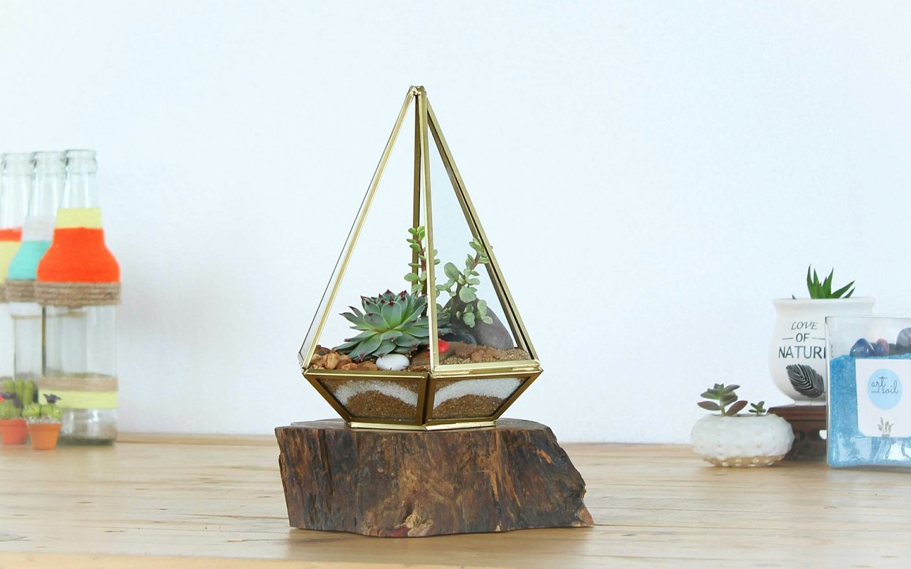Building a Terrarium
