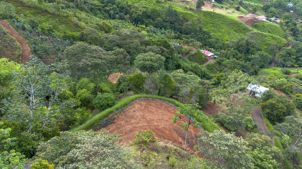 10.21 Acres with Views & Plantels – Pérez Zeledón