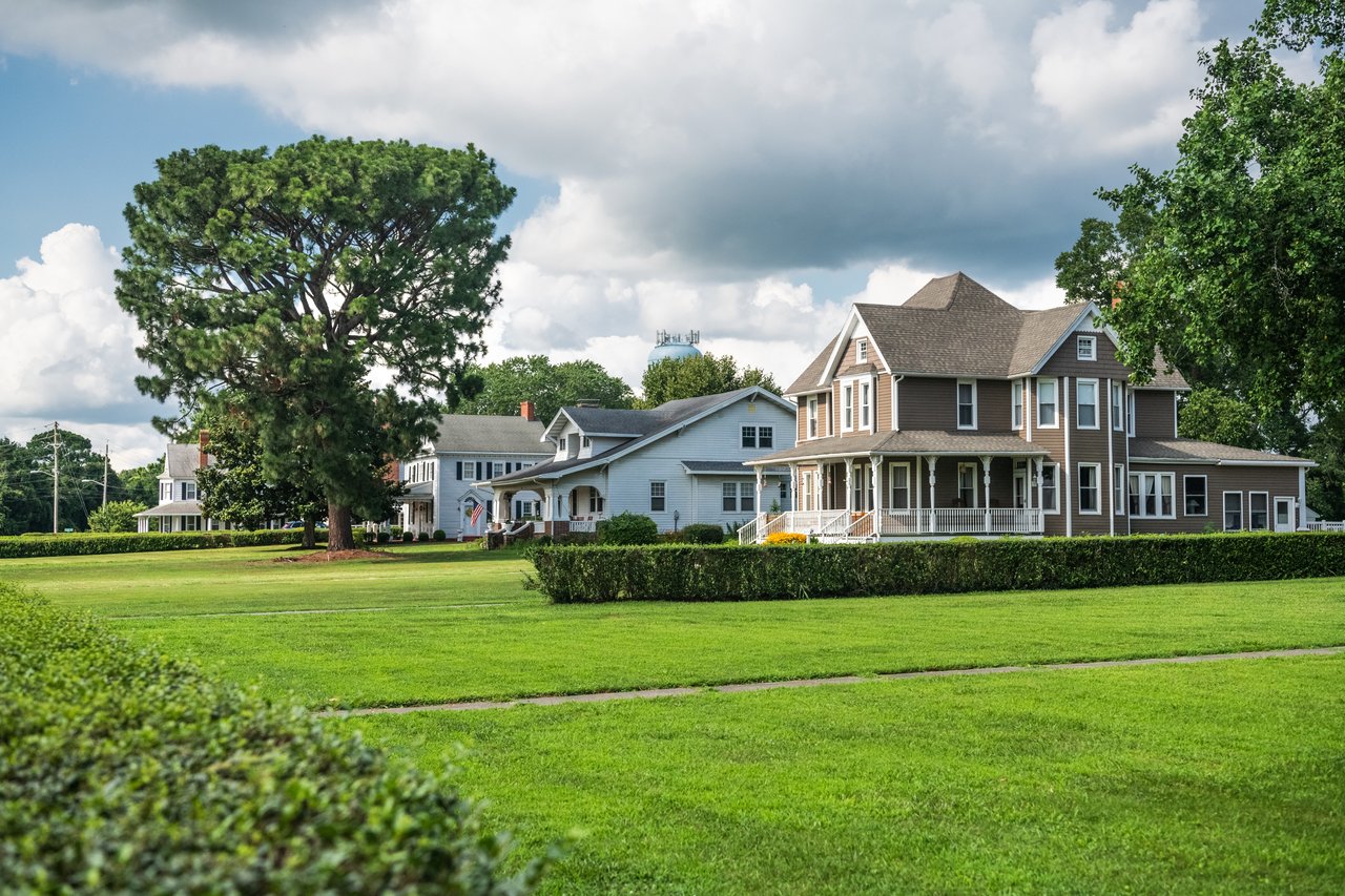 Detached homes along a leafy neighborhood street, with broad lawns and a prominent mature pine tree.