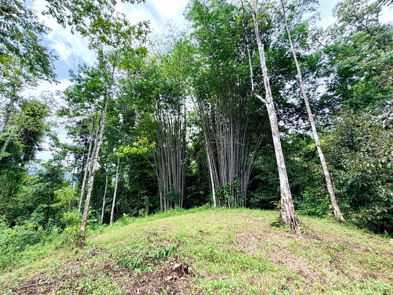 Uvita Development Farm - 45.4 Acres Estate