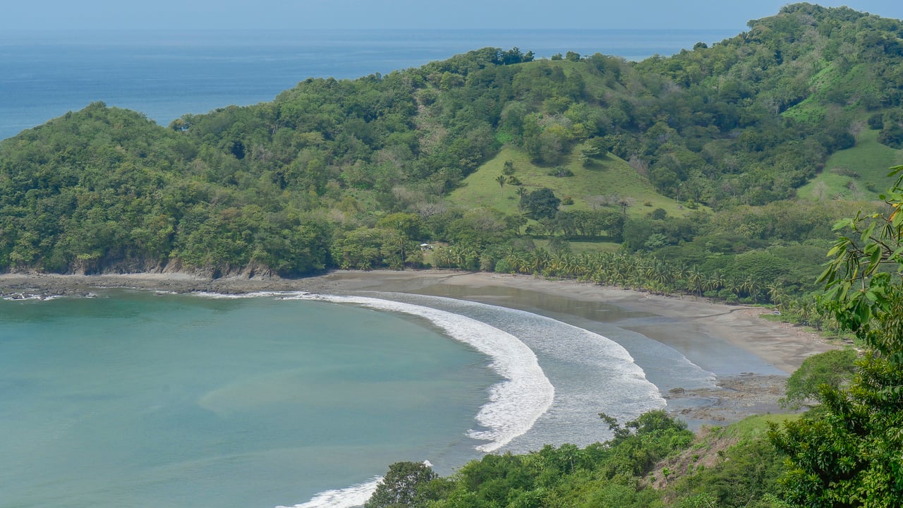 Corozalito Blue Reserve 