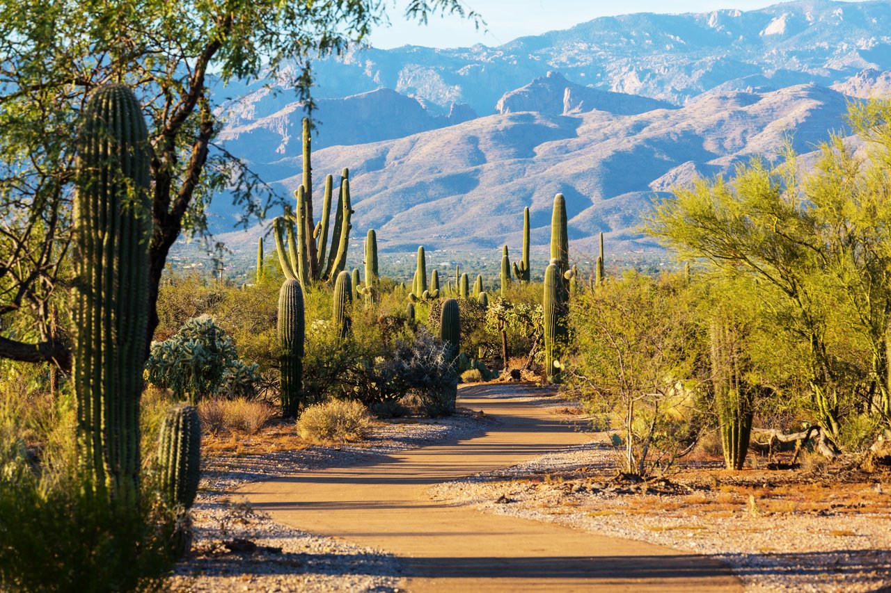 Cave Creek