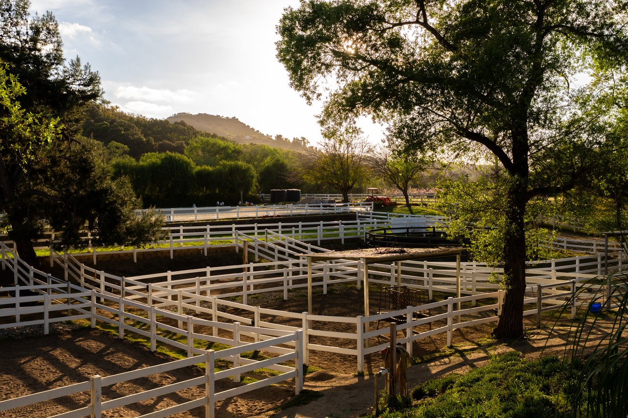 7017 Via Mariposa Sur