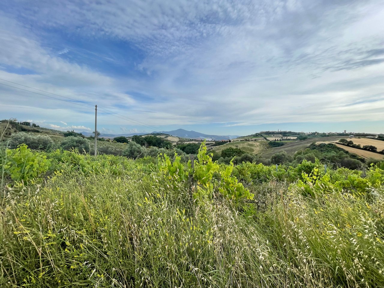 CASALE LA MUSICA A PIENZA