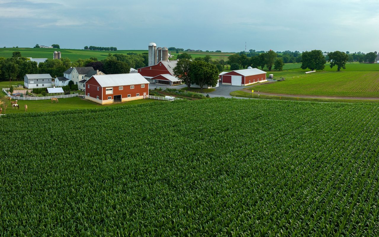 Strasburg