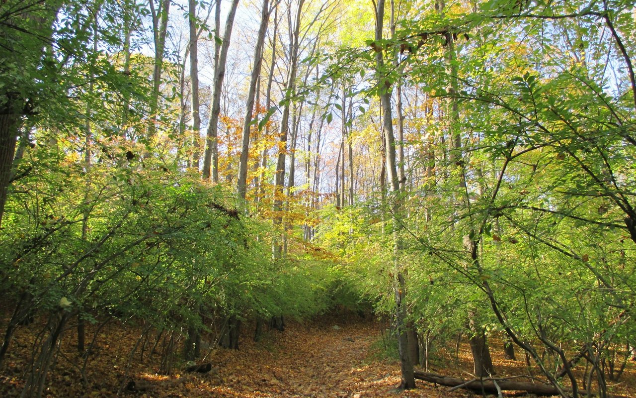 Rutgers Ecological Preserve