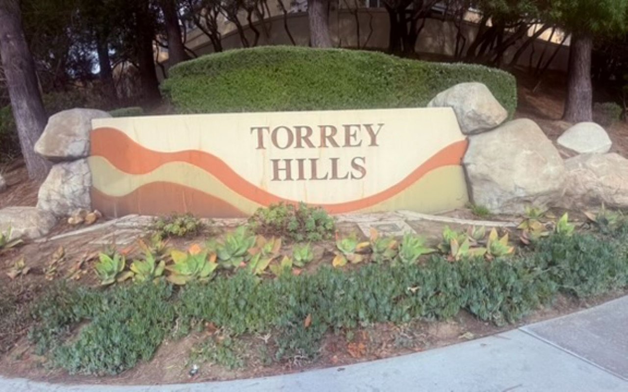 Torrey Hills