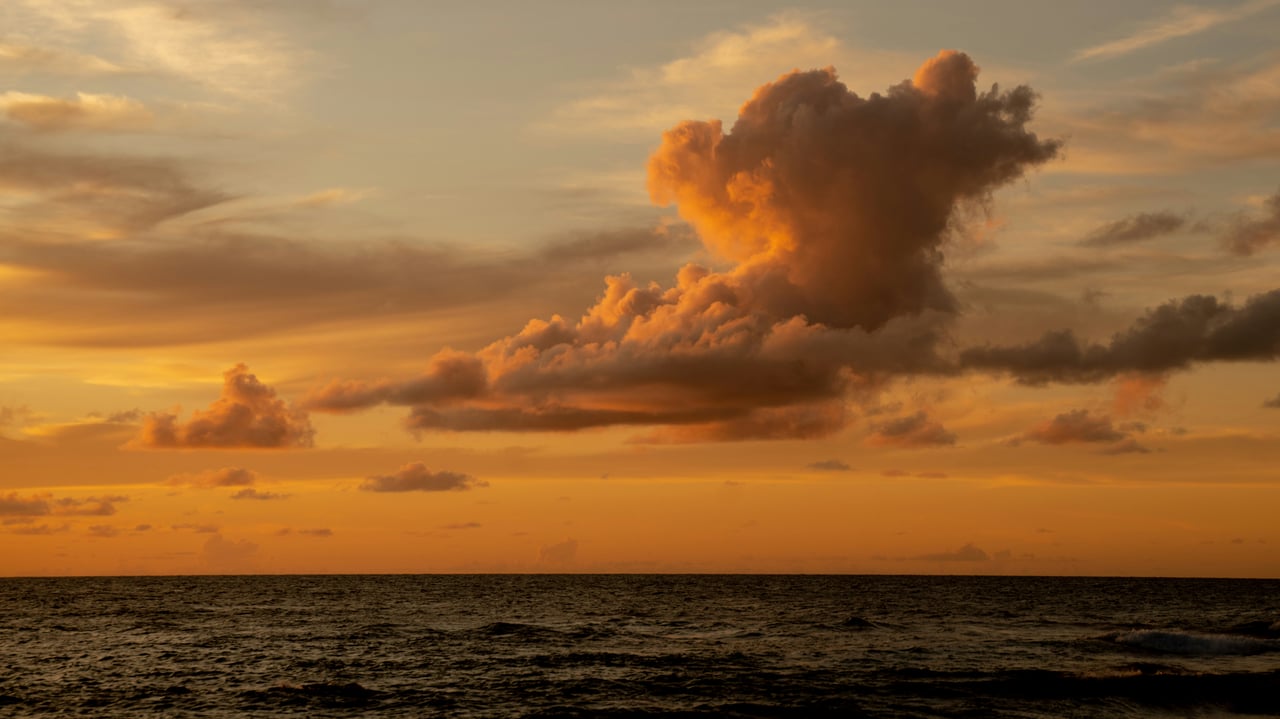 Start the New Year Right: New Rituals for Reinvention