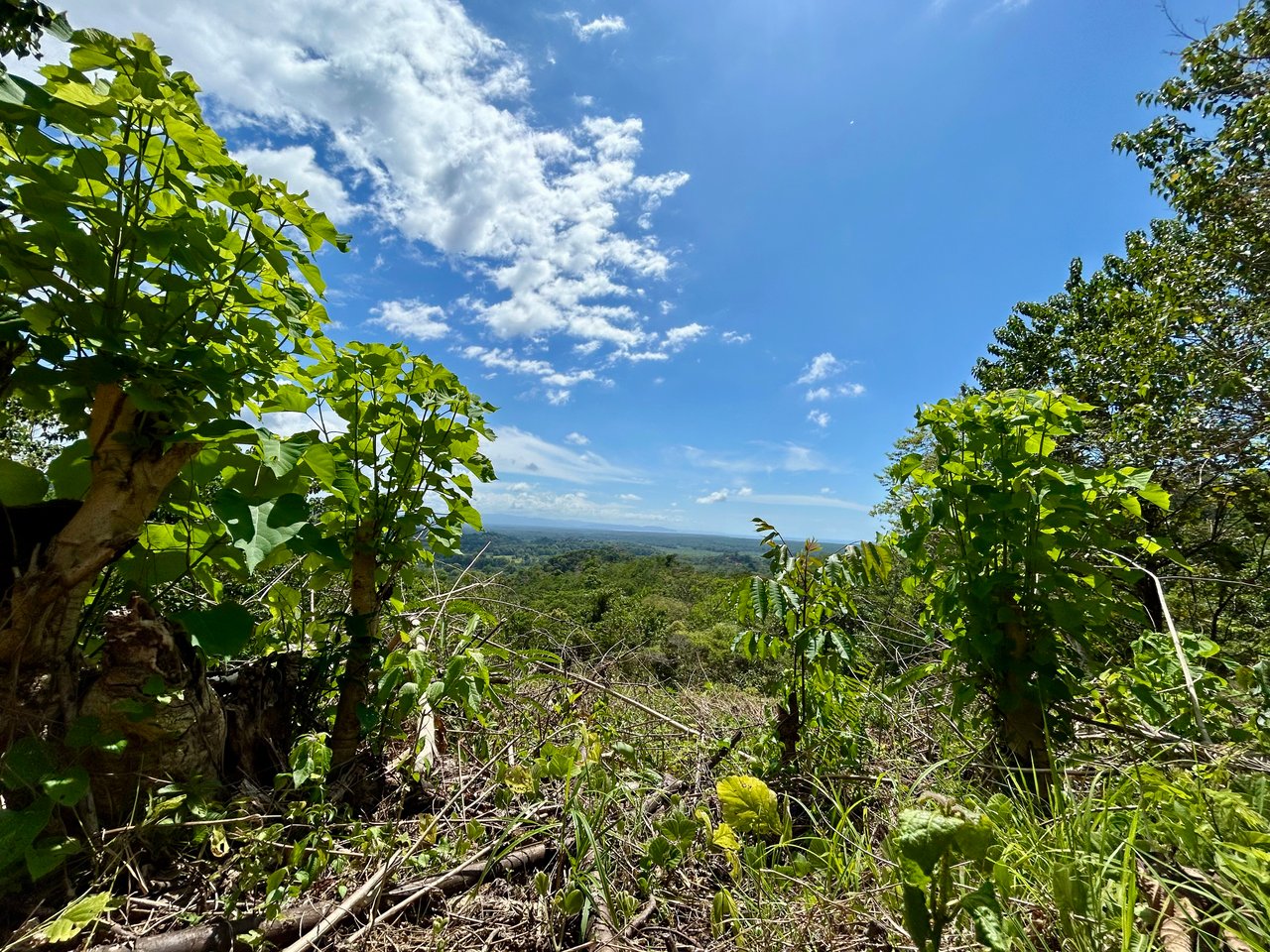 Ocean View Lot in San Buenas, Only $90K & Ready To Build