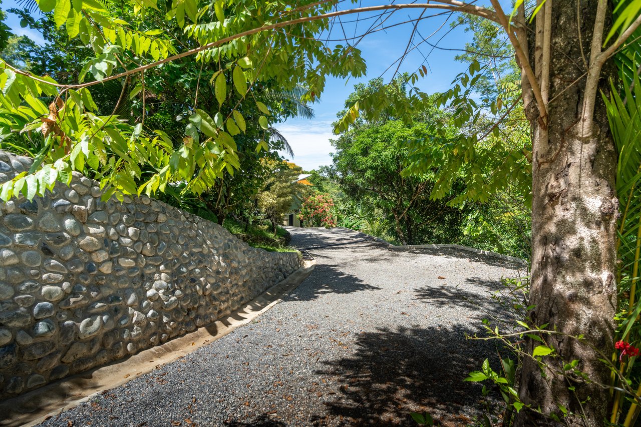 Casa Chiquita - Ocean View Retreat in the Heart of Ojochal – 3 Bed, 3 Bath with Pool, Fruit Trees & Prime Location