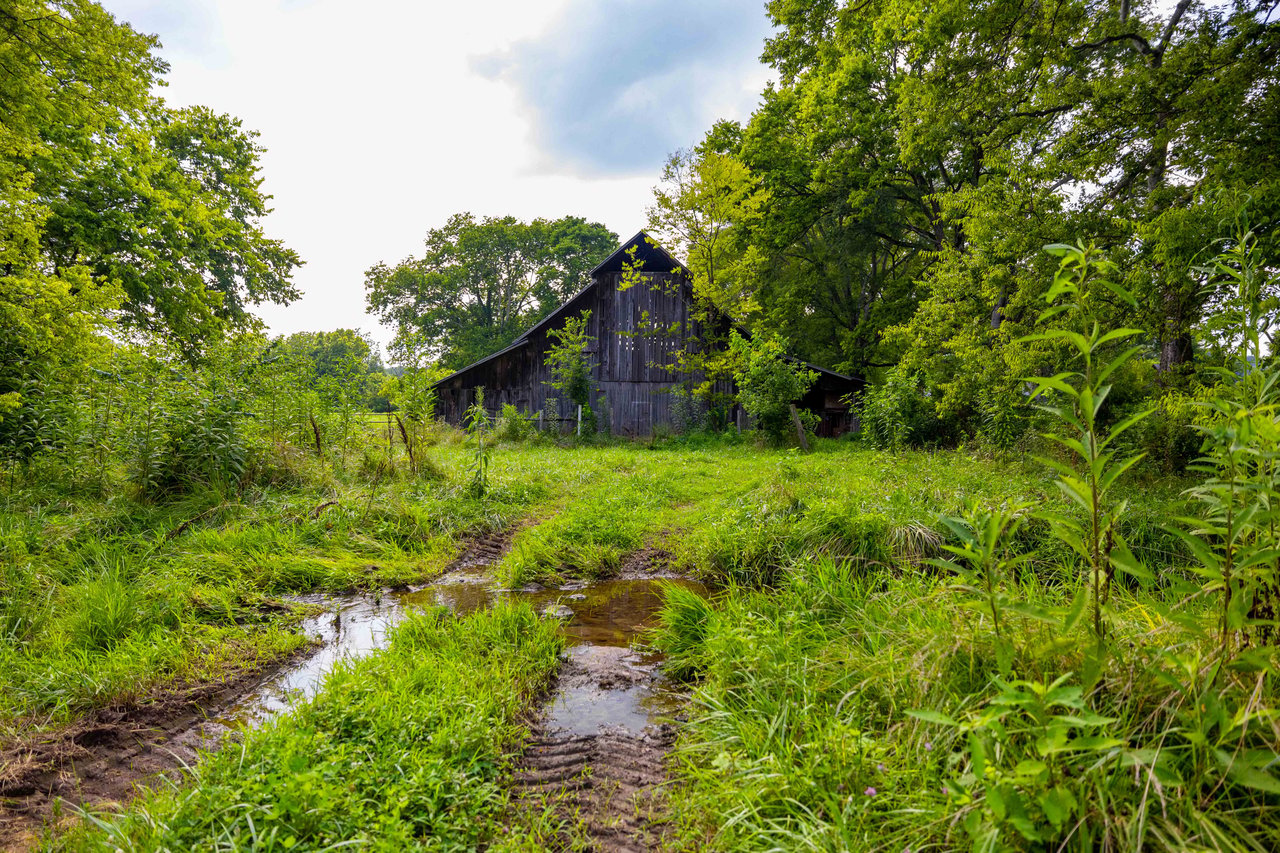 Beasley Farms