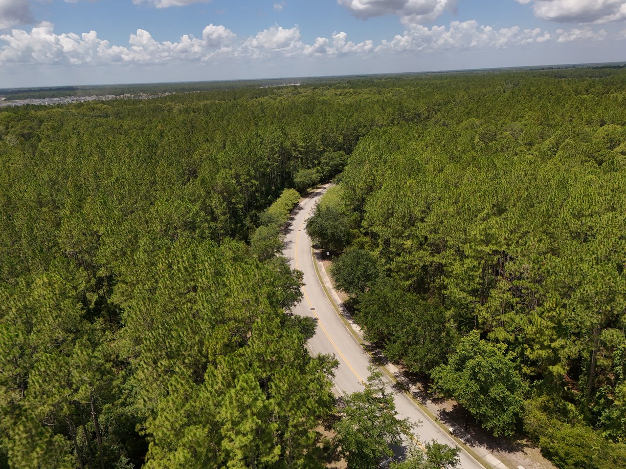 A winding road runs through dense forest, with development visible on the distant horizon.