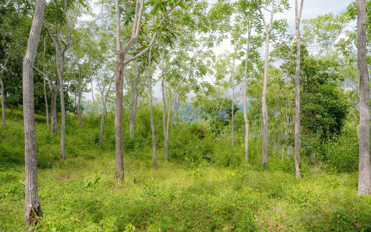 Ocean View Ridge Farm | 135-Acre Estate Near Playa Hermosa, Jacó