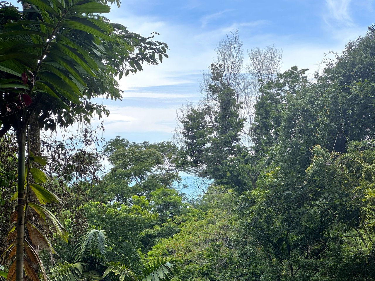 11.24 Acres With Two Stunning Ocean View Building Sites In Cinco Ventanas! Ojochal (Cinco Ventanas, Puntarenas, CR - 60504)