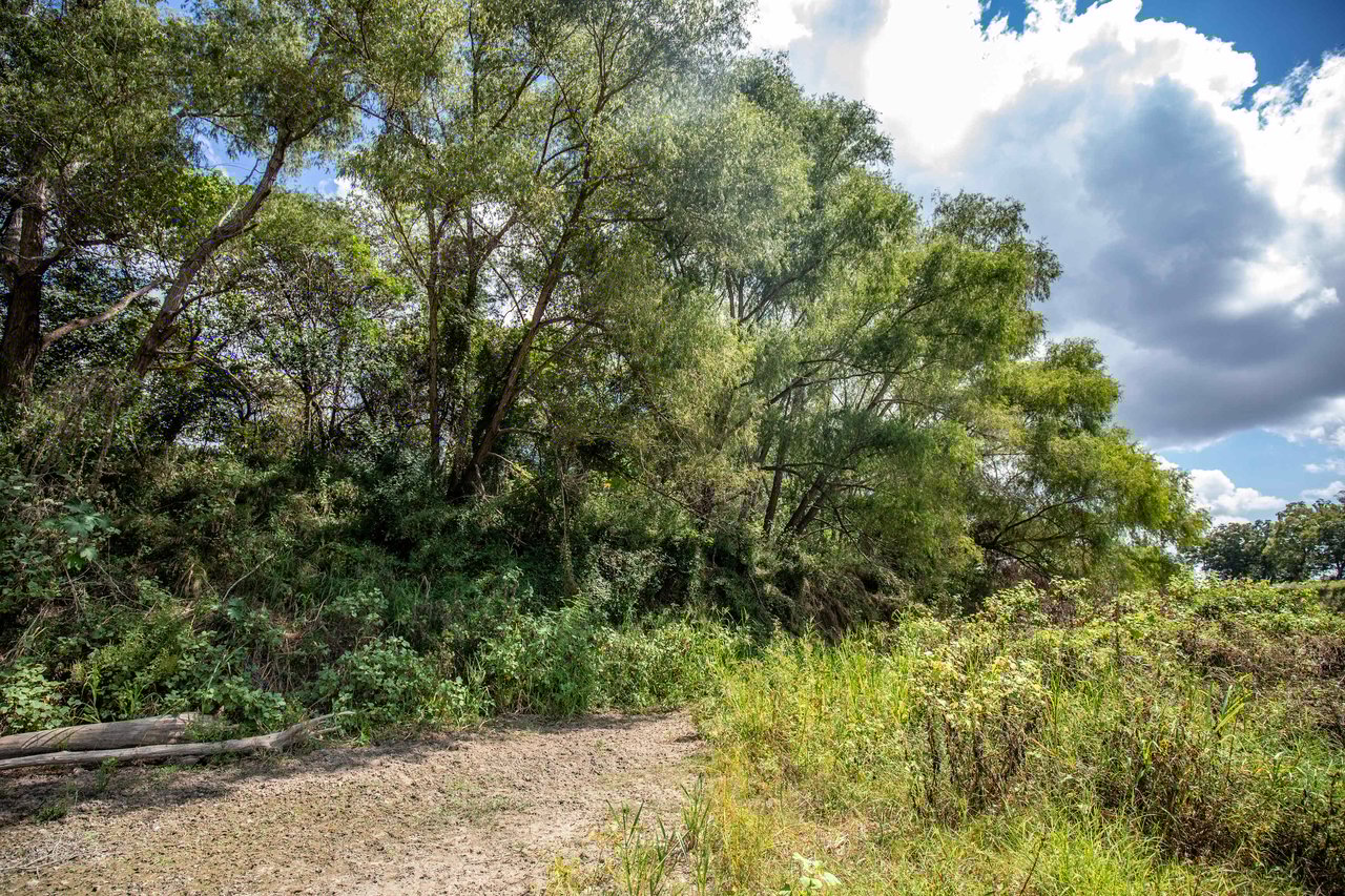 Lovers Lane River Ranch | 140± Acres | DeWitt County