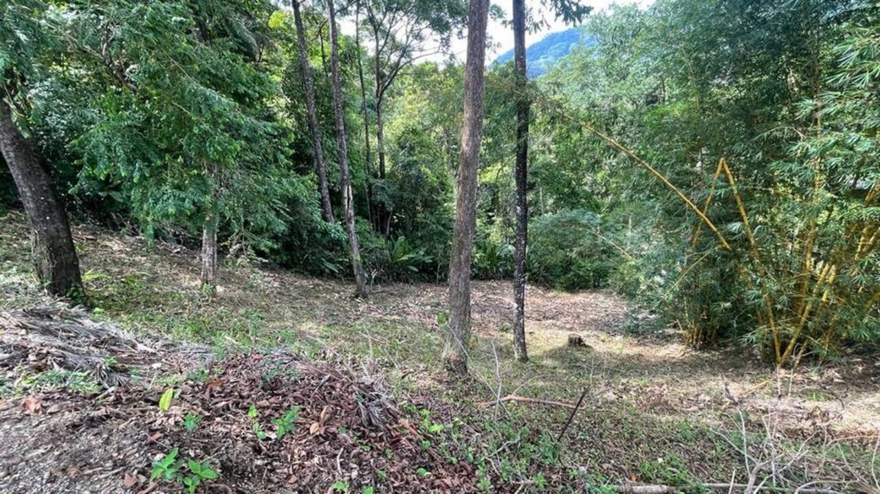 Gated Community Development Lot, Dominical, Puntarenas