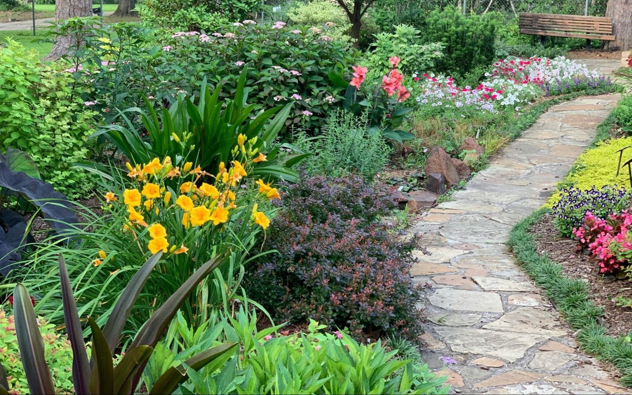 A Beginner’s Guide to Starting a Garden at Home