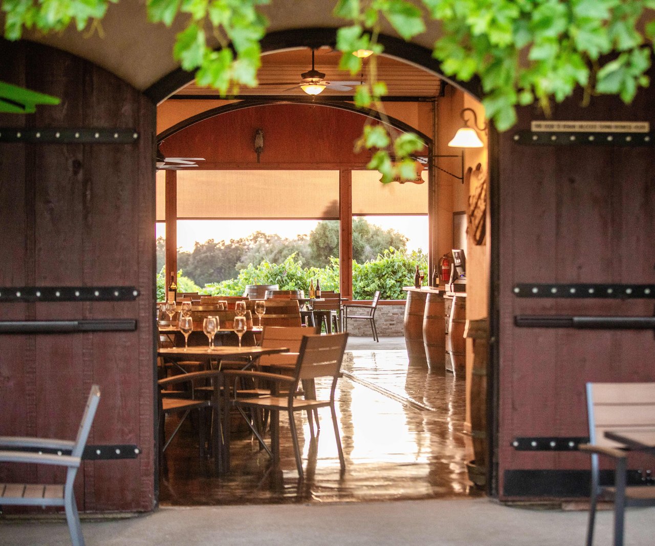Cooper Vineyards - Barbera's Legacy Continues In the Heart of Shenandoah Valley