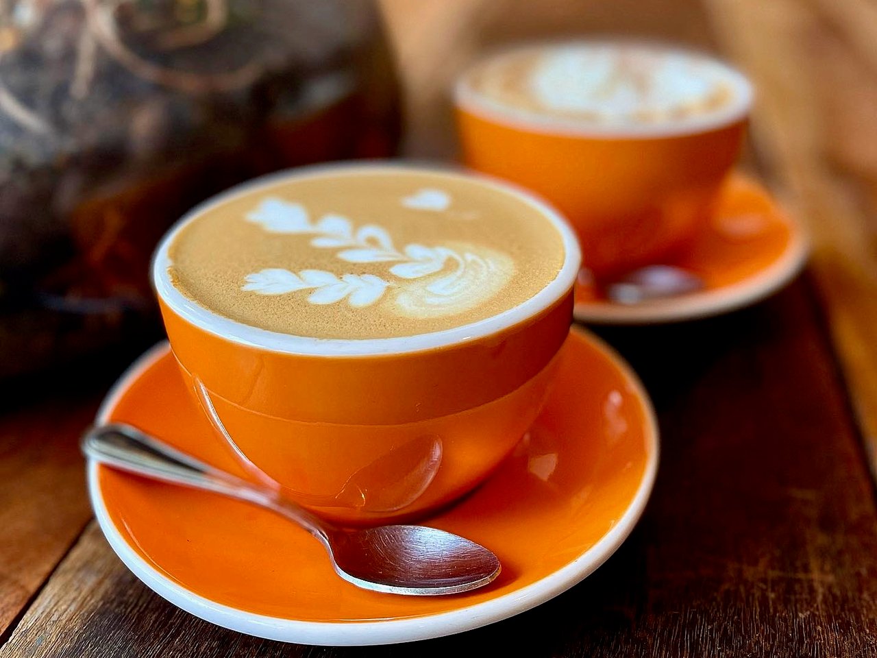 Where To Find Pumpkin Spice Lattes and Sweet Treats in Sonoma County