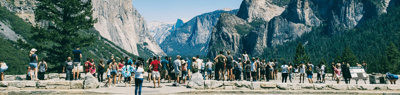Thriving in Yosemite