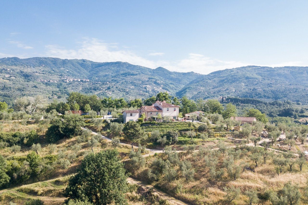 Fattori