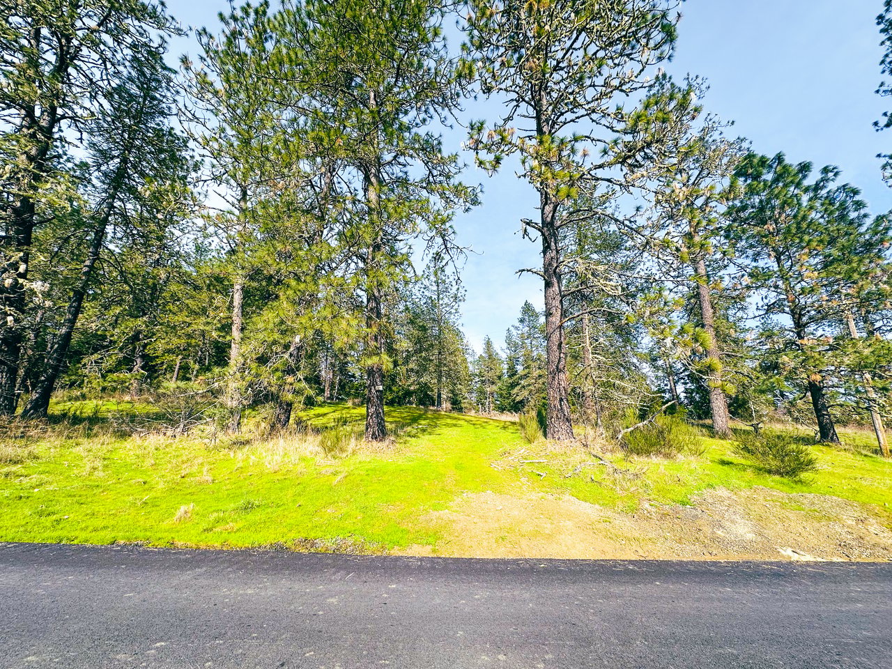 SUTHERLIN WOODLOTS