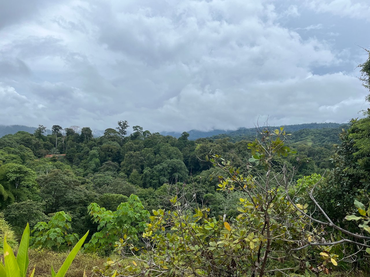 Private Ocean View Lot, Osa, Puntarenas