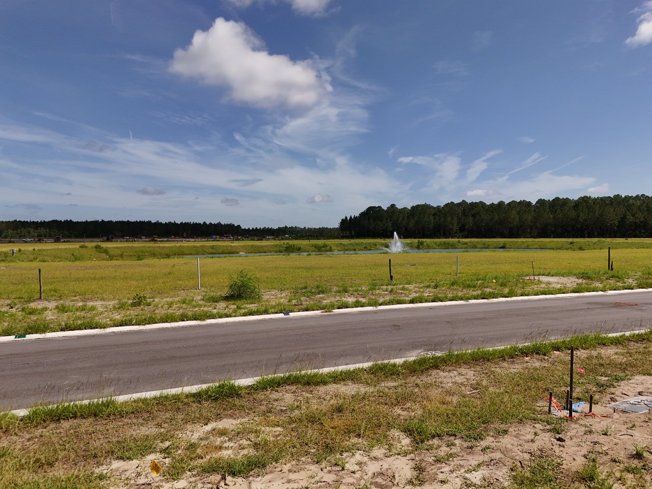 Open grassy area with a pond fountain, tree line, and paved road.