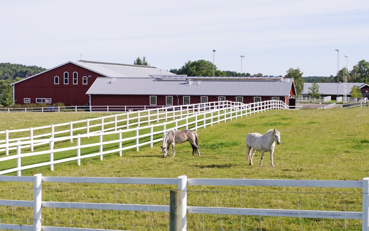 Argyle | Bartonville | Roanoke