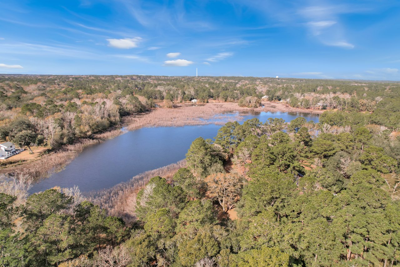 A serene aerial view shows a tranquil lake surrounded by dense green trees under a clear blue sky, evoking a peaceful and natural ambiance.