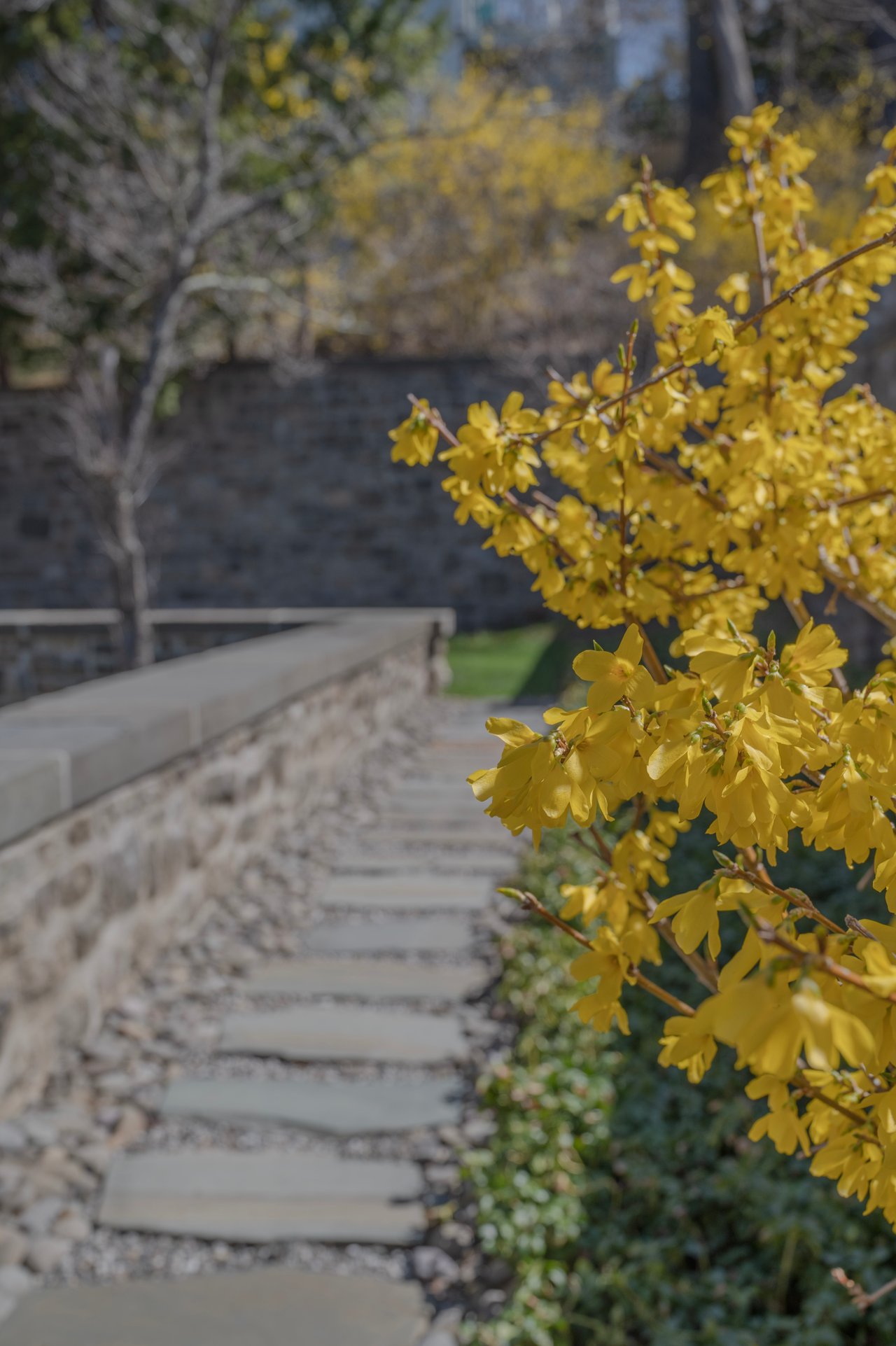 Tuxedo Hudson Realty: 2025, A Year in Review