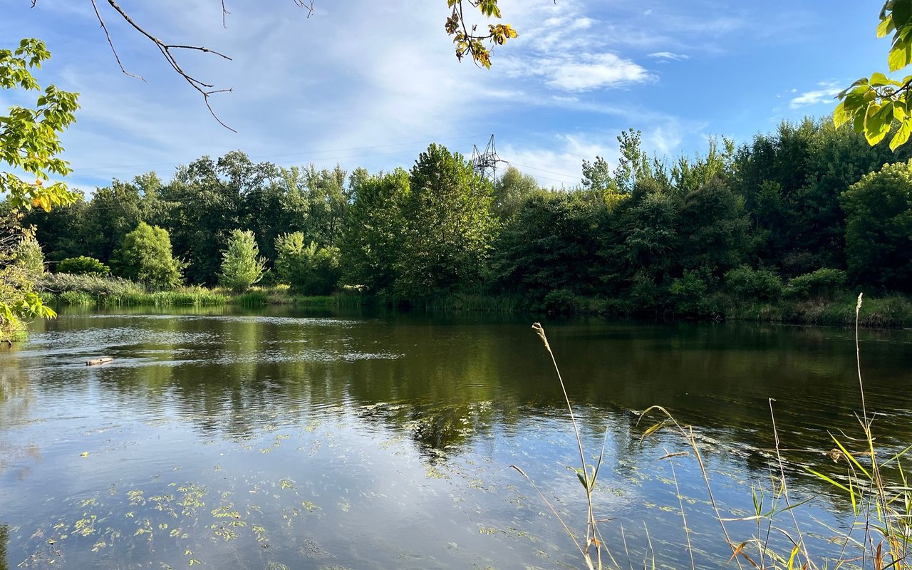 Plainwell