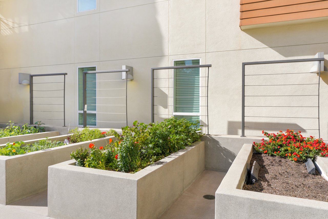 Building's community garden
