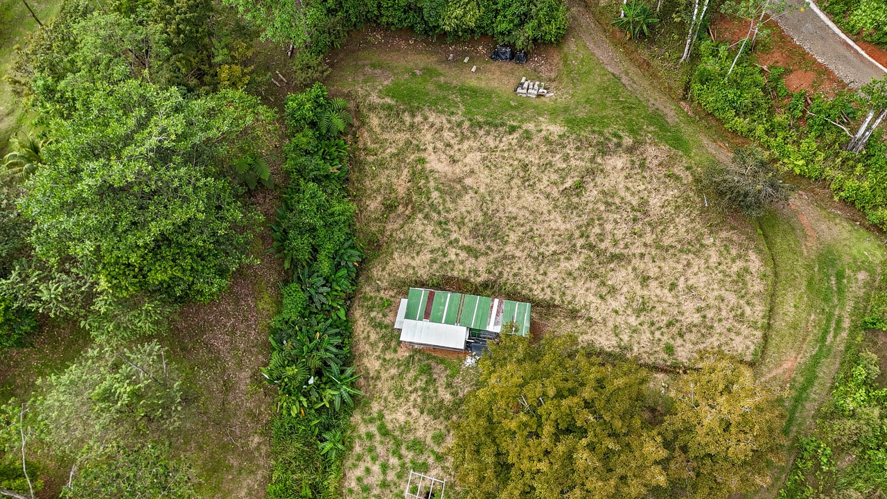 Jungle, Mountain & Valley View Lot with Two Large Plantels, Bordering a Crystal Mountain River with Swimholes & a Waterfall