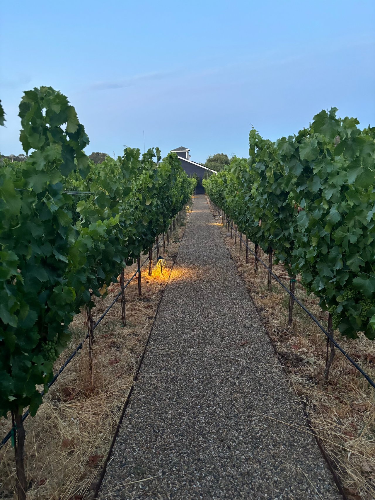 Sonoma’s Premier Wine Country Estate