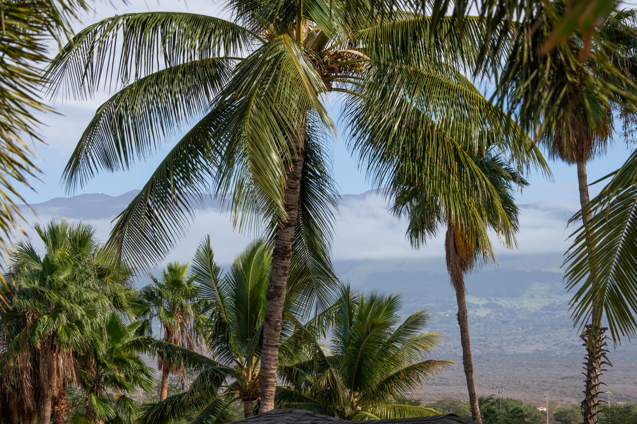 Kai Ani Village 12-204