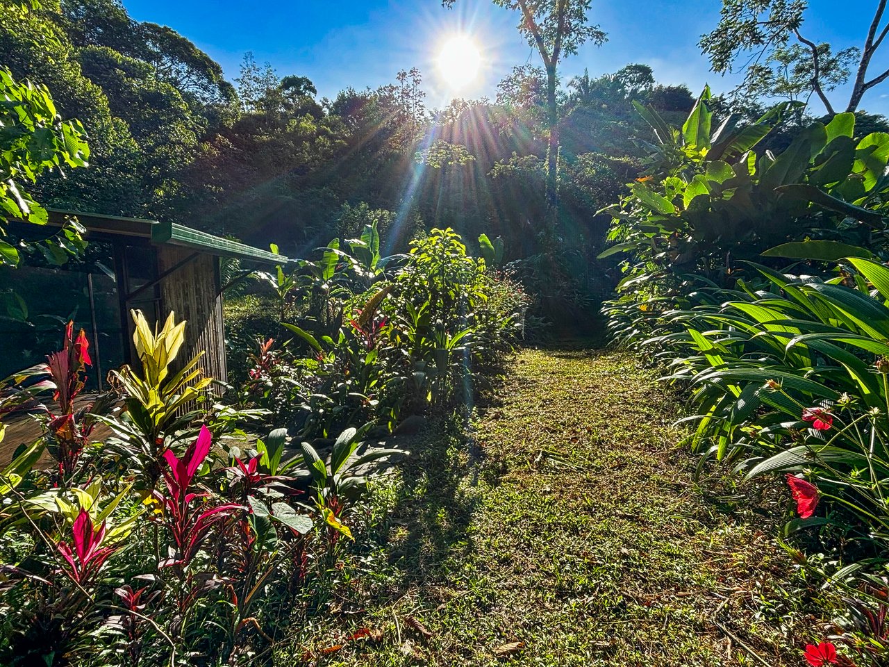 Tinamastes Costa Rica Property with Home, Yoga Deck & Land