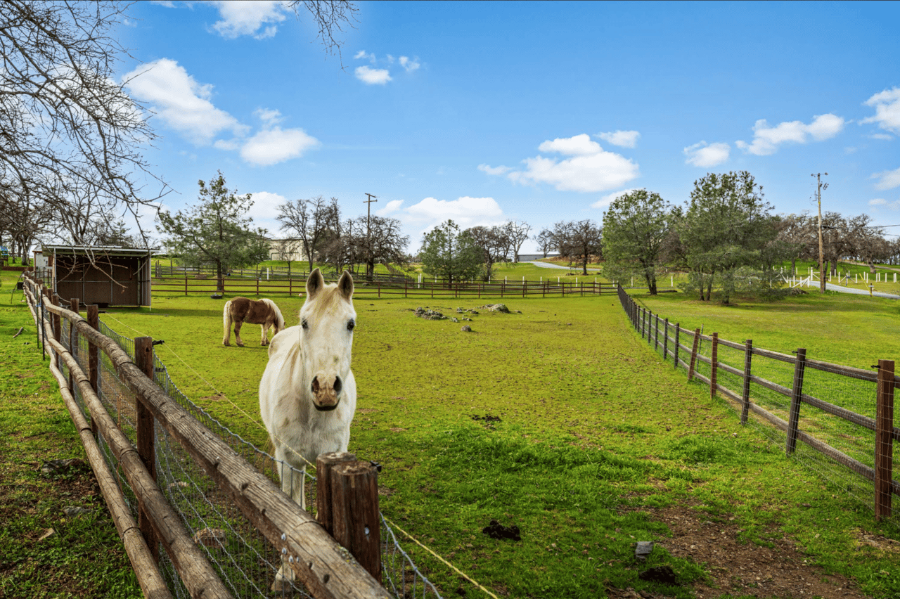 1110 Trails End Drive