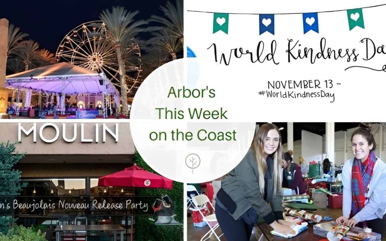 This Week on the Coast November 10 – 17, 2017
