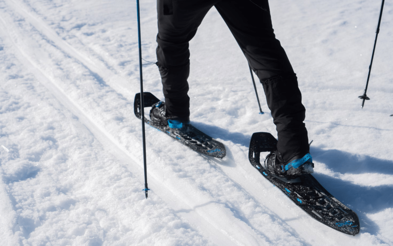 Step Into Winter: The Best Snowshoeing Trails Near Denver for Every Skill Level