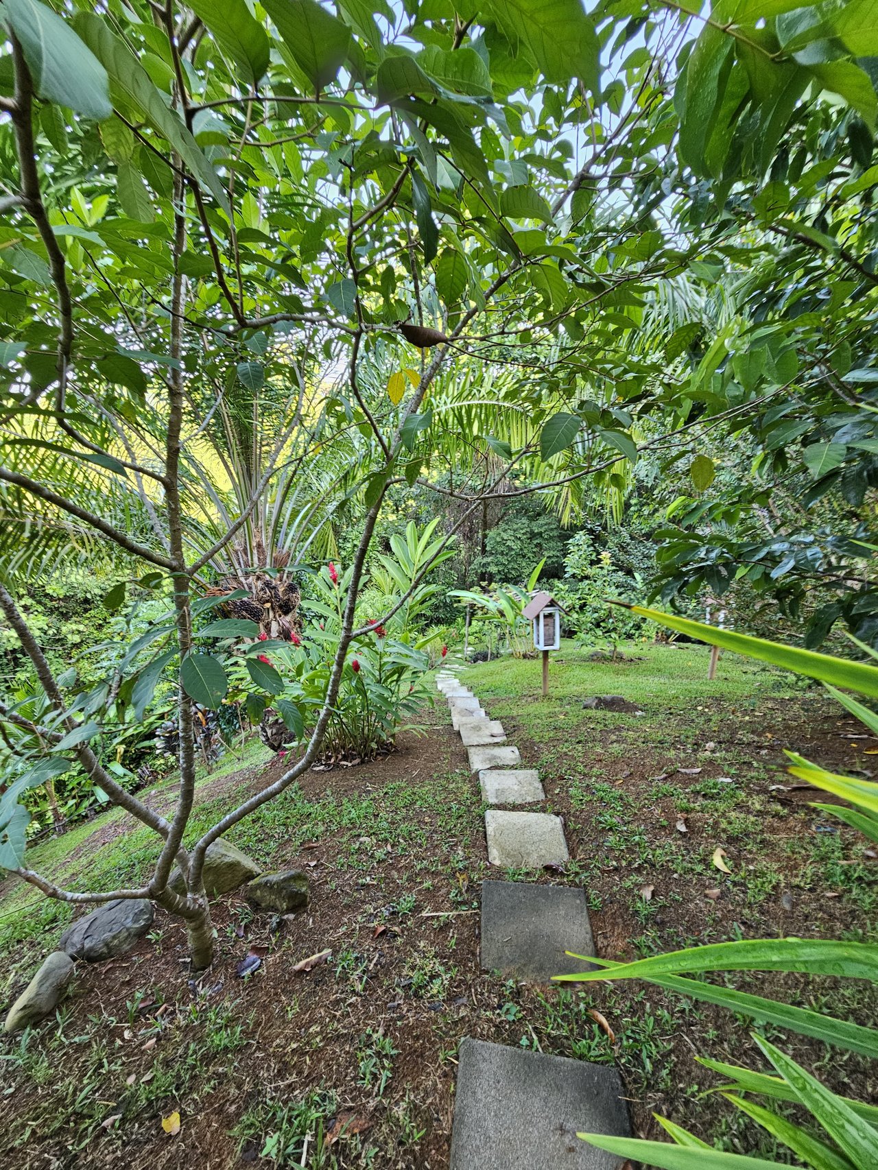 Beautiful sea view House Guesthouse and Pool in a gated Community close to awesome Beaches