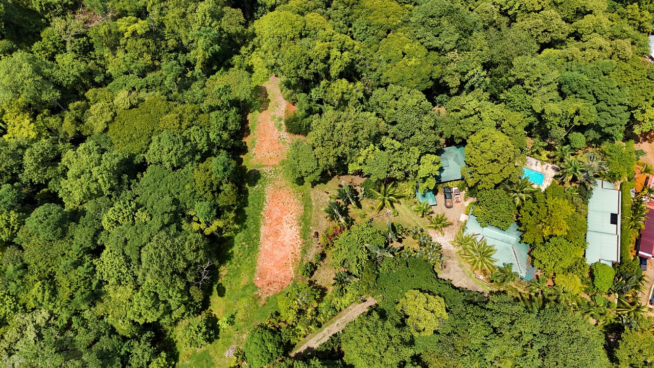 Ojochal Property for Sale – Cabins, Restaurant & 3-Bed Home