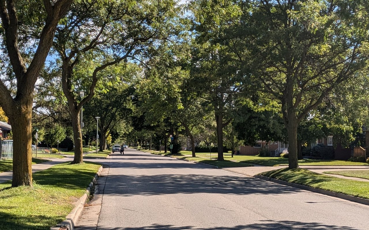 Tree-lined residential street with sidewalks, lawns, and homes.