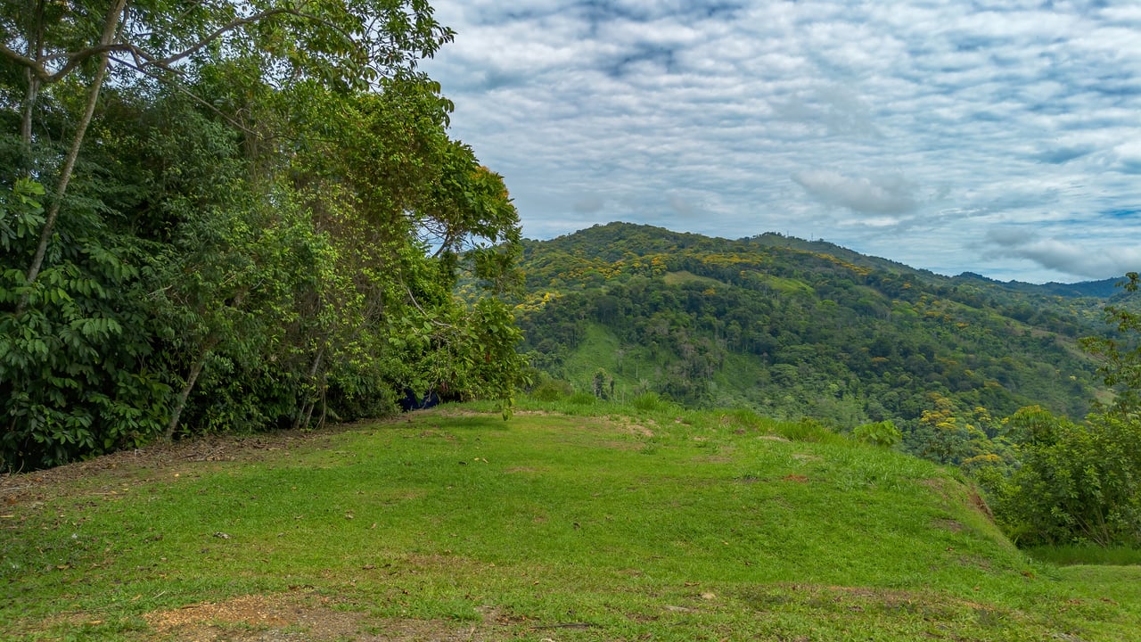 60 Hectares in Platanillo 