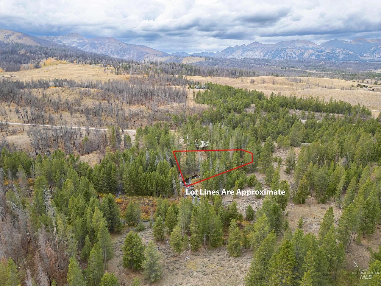 773 Smiley Creek Rd